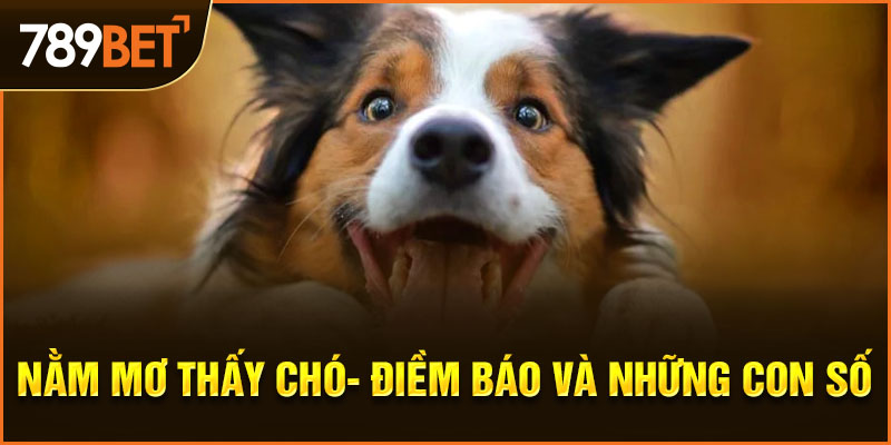 nằm mơ thấy chó