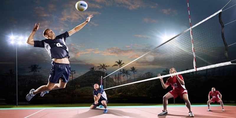 Tài xỉu luôn hấp dẫn trong cá cược bóng chuyền